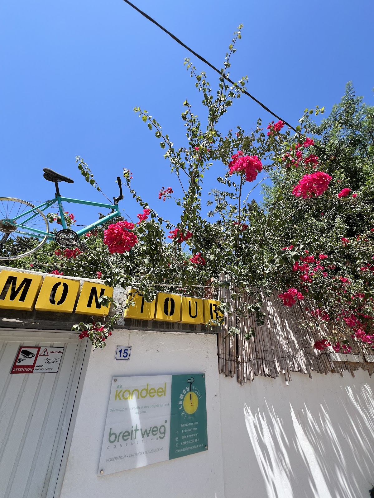 Le Lemon Tour — tour operator in 9 Rue Hannibal, Tunisia – photo 1