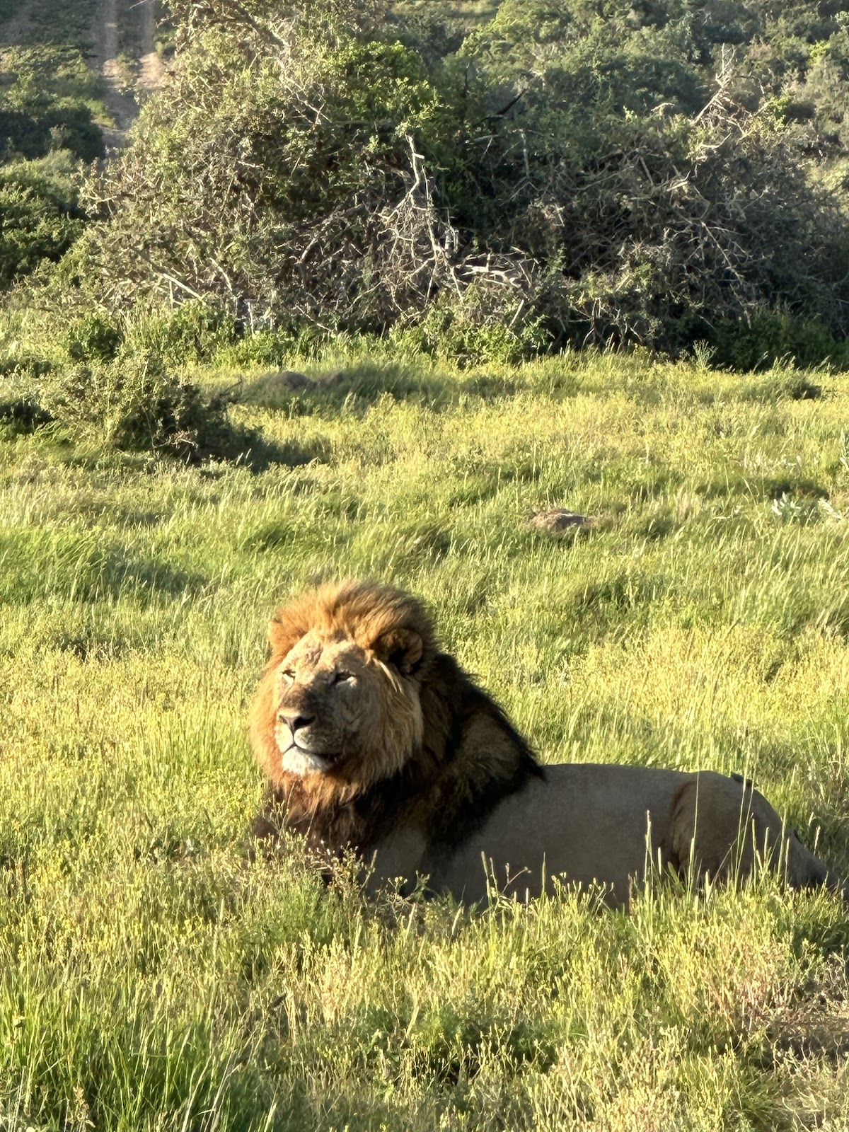 African Blue Tours — tour operator in Cape Town, South Africa – photo 3