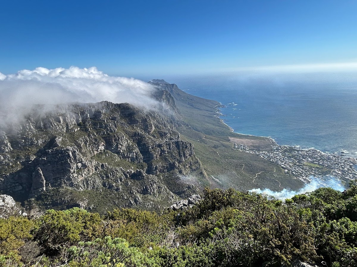 African Blue Tours — tour operator in Cape Town, South Africa – photo 5