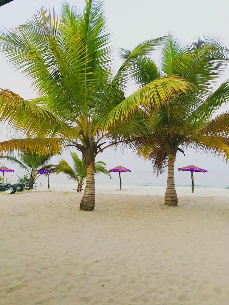Angel Style World Travels & Tours Limited — tour operator in Lagos 101223, Nigeria – photo 5