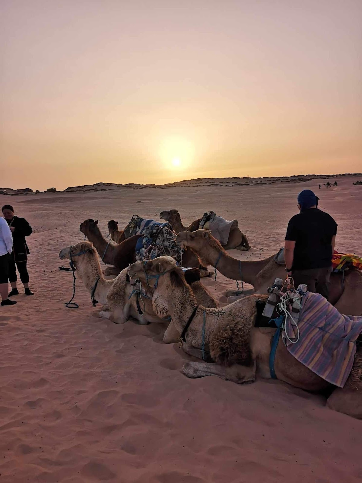 Open Tunisia Luxury Travel & Tourism — tour operator in 97 Avenue du koweit، الحمامات 8050, Tunisia – photo 4