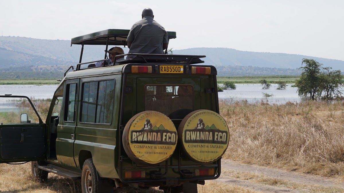 Rwanda Eco Company and Safaris — tour operator in KN 4 Ave, Rwanda – photo 1