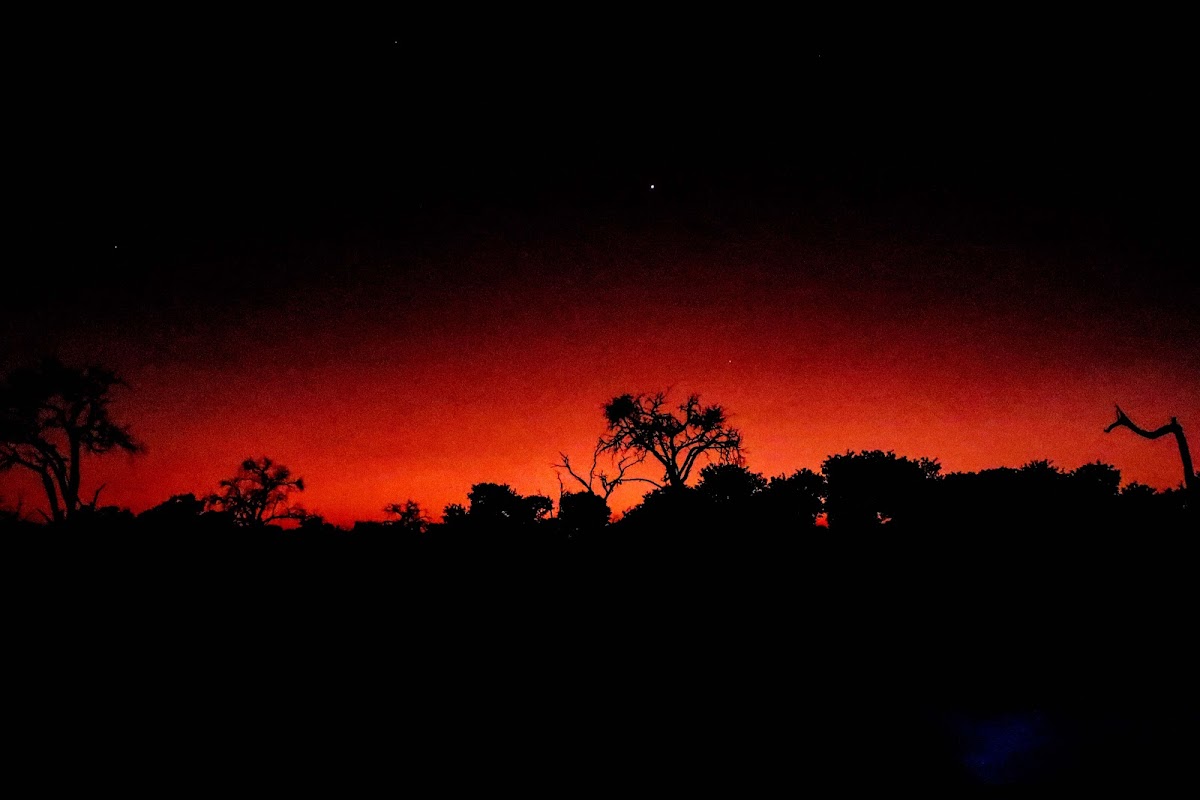 Moonlight Safaris — tour operator in UNIT 10 President Ave, Botswana – photo 1