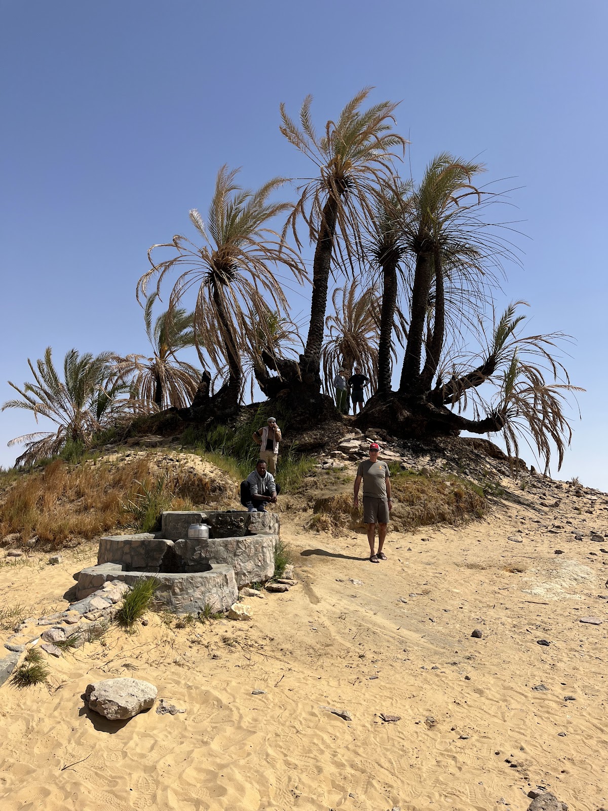 Western Desert Tours — tour operator in Al Wahat Al Baharia, Egypt – photo 4