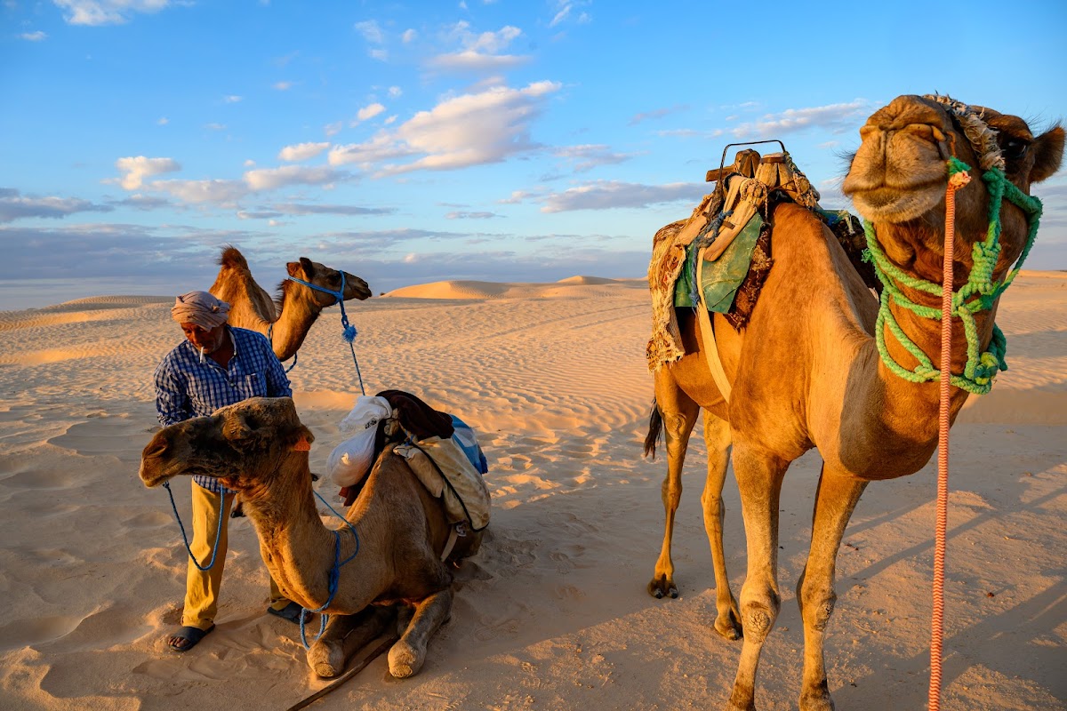 Xperience Tunisia — tour operator in 56 Rue d'Iran, Tunisia – photo 3