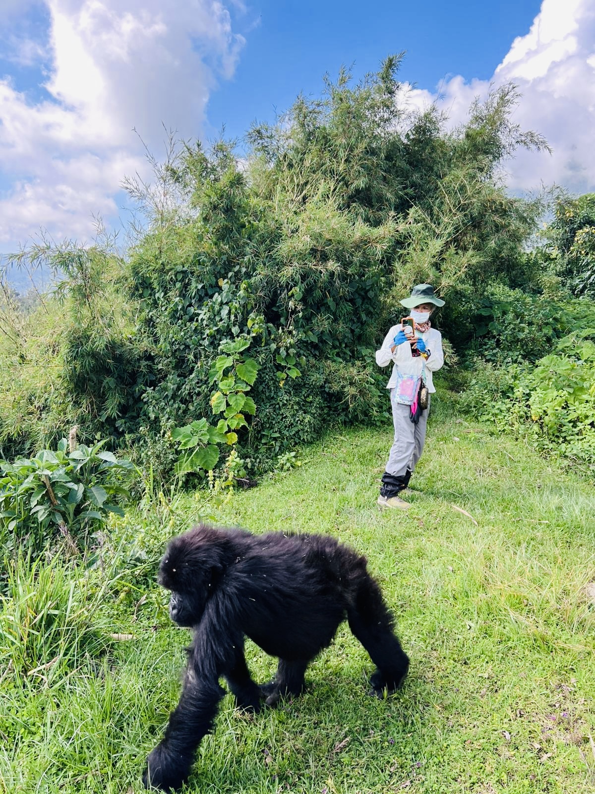 Rwanda Eco-Tours — tour operator in KN 3 Rd, Rwanda – photo 6