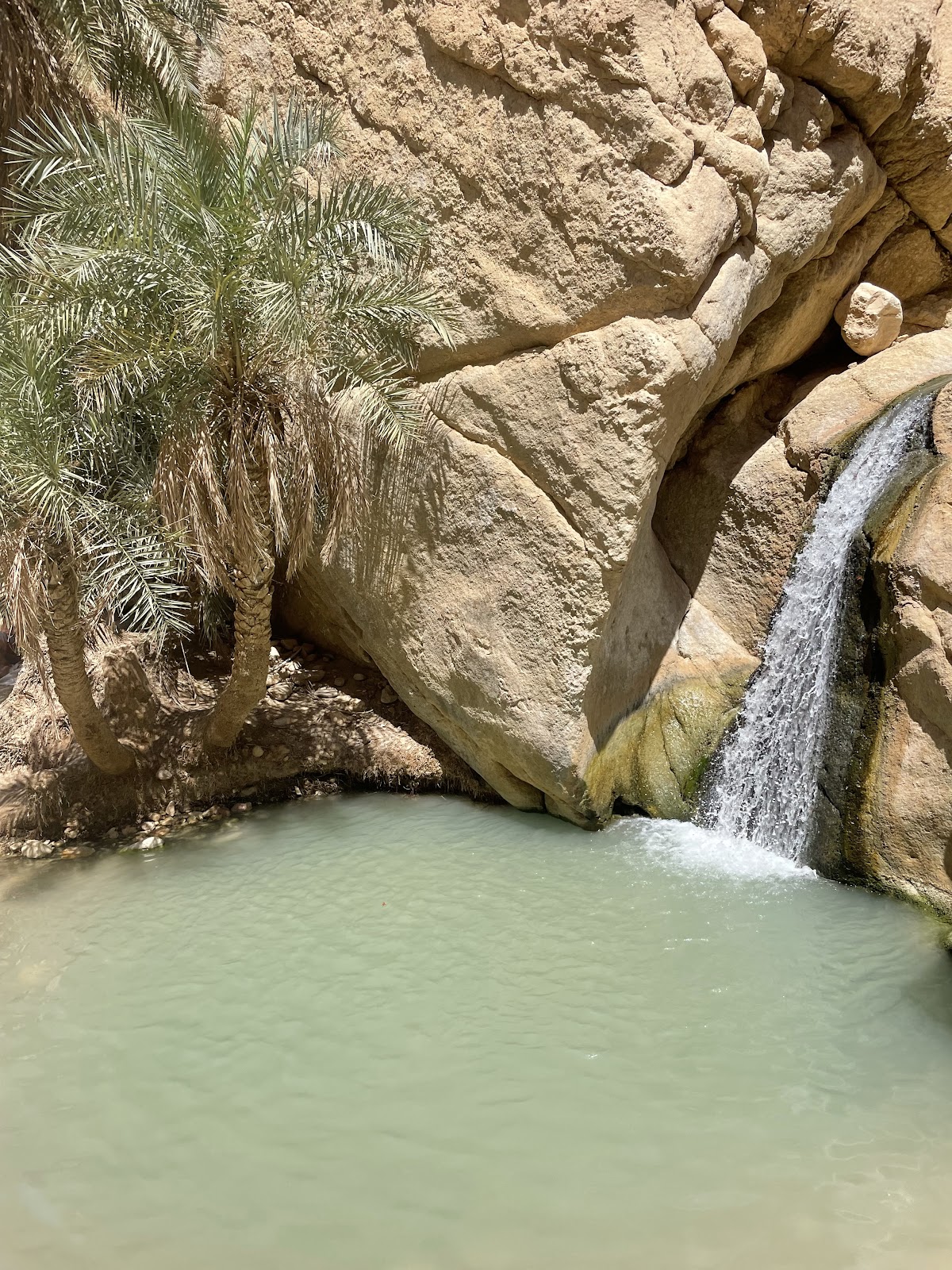 Other Tunisia - Travel & Co — tour operator in Houmt Souk, Tunisia – photo 3