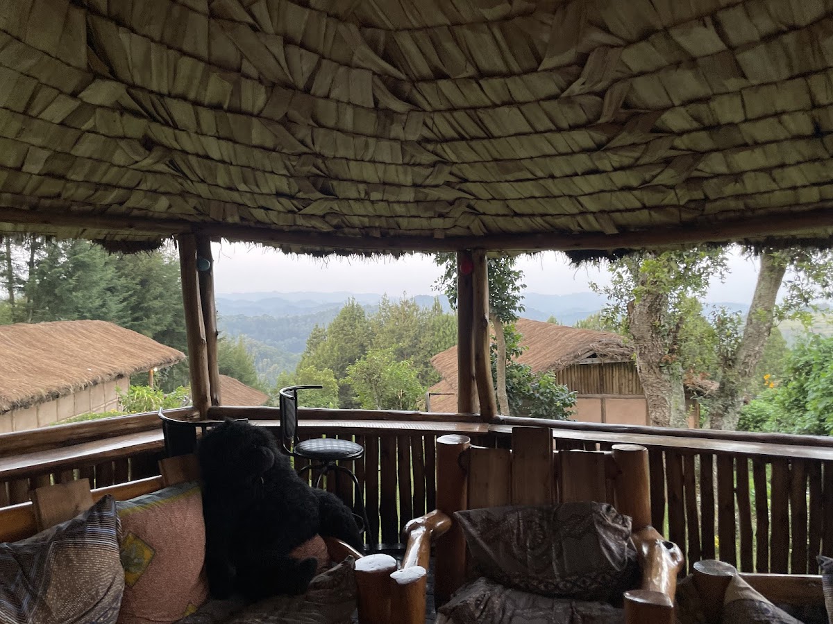 Amakula African Safaris | Uganda Safaris | Gorilla Trekking Uganda | Chimpanzee Trekking Uganda | Uganda Birding Tours — tour operator in Kampala, Uganda – photo 4