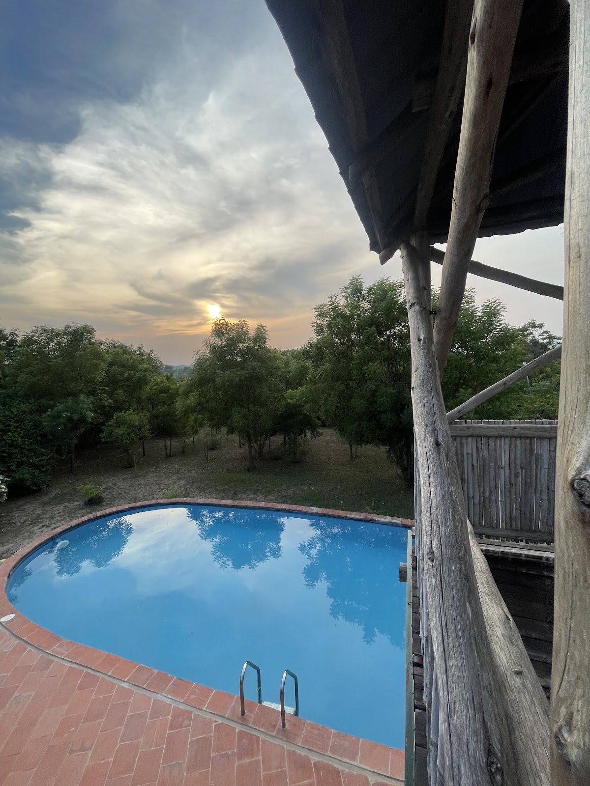 Amakula African Safaris | Uganda Safaris | Gorilla Trekking Uganda | Chimpanzee Trekking Uganda | Uganda Birding Tours — tour operator in Kampala, Uganda – photo 3