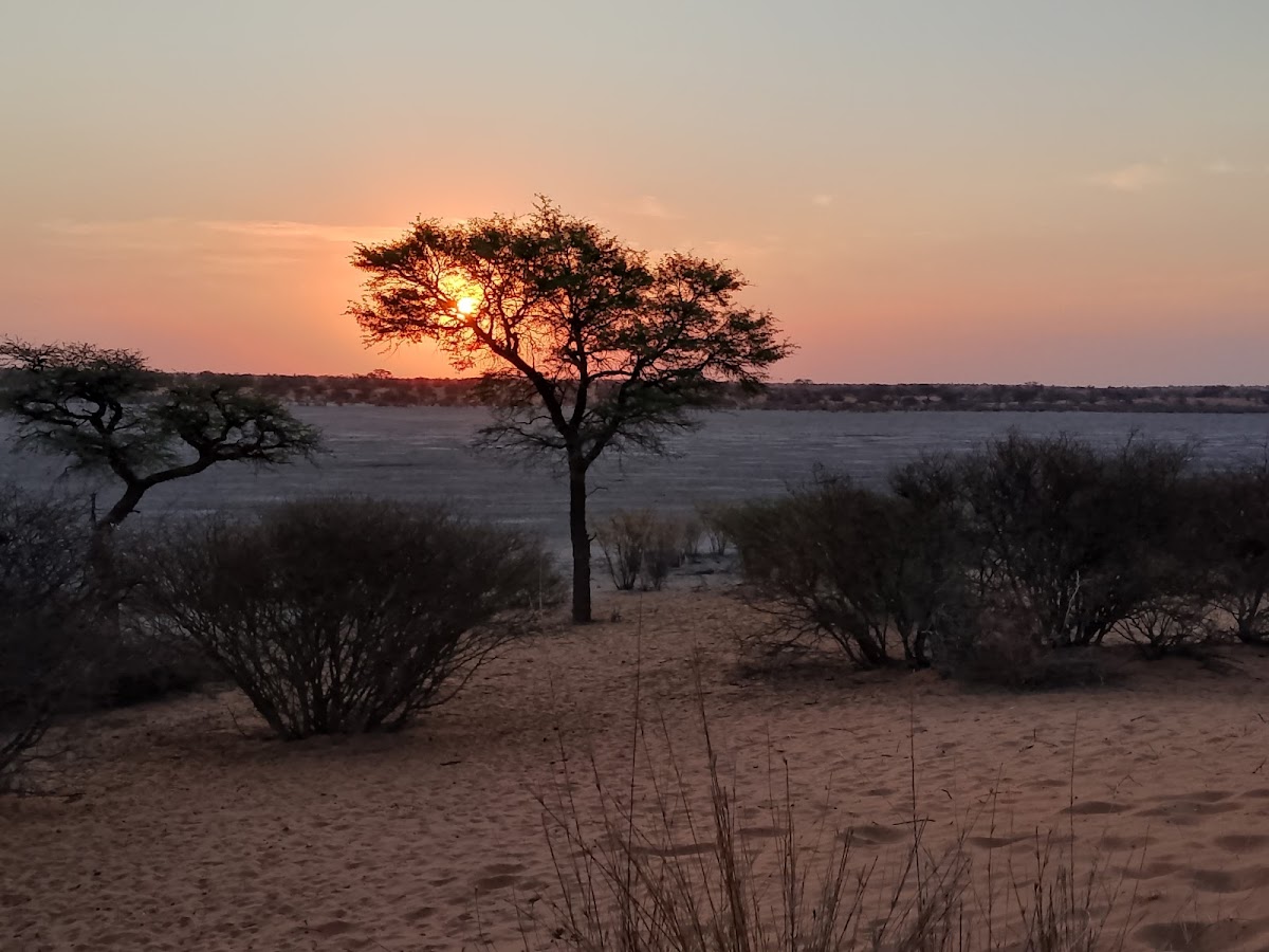 Wildlife Adventures Tours and Safari's Namibia CC — tour operator in Sand street, Namibia – photo 6