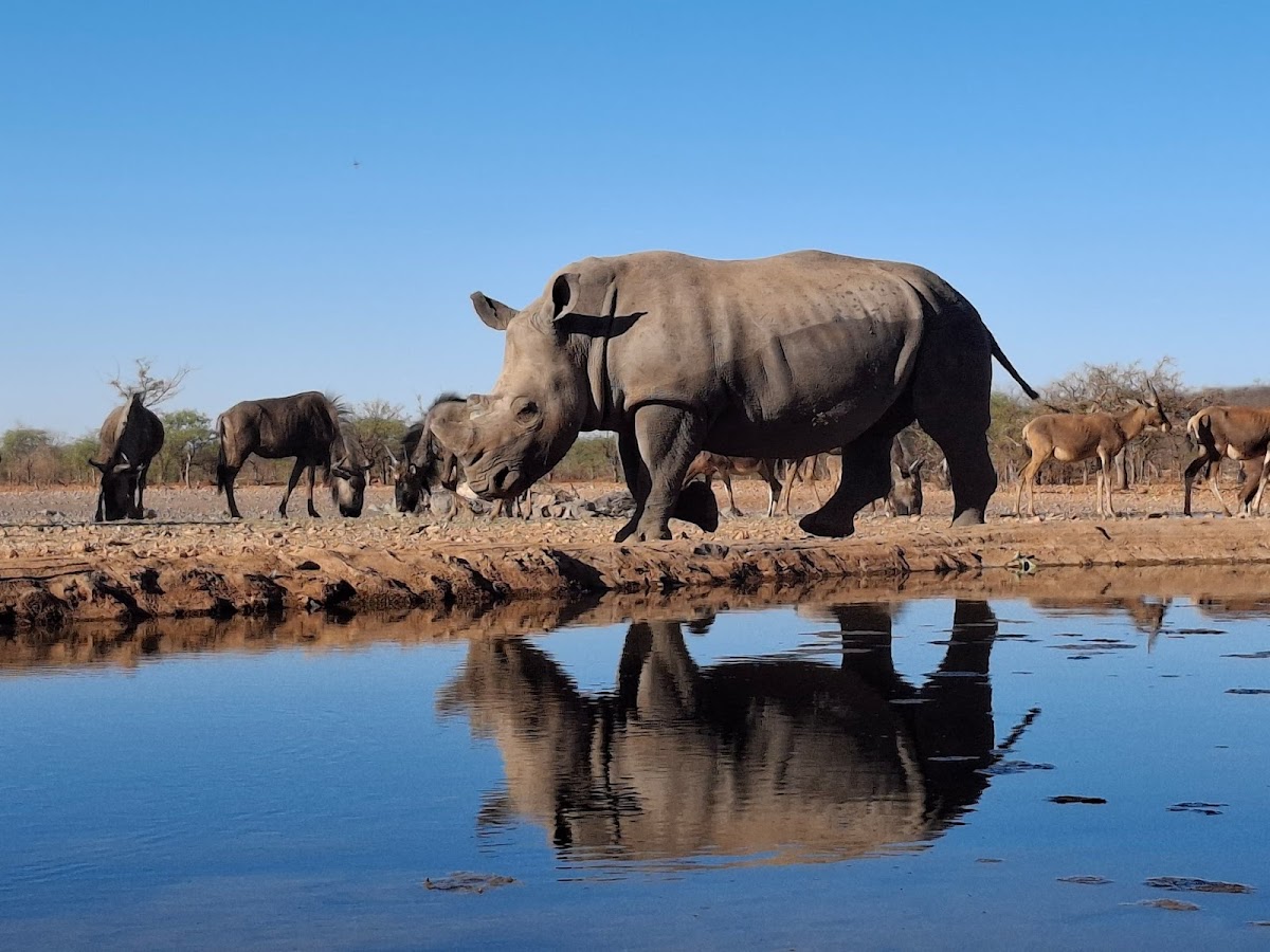 Wildlife Adventures Tours and Safari's Namibia CC — tour operator in Sand street, Namibia – photo 2