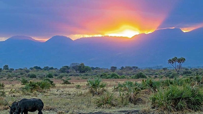 Safaris Kenya — tour operator in Magadi Road off Helena Road, Kenya – photo 1