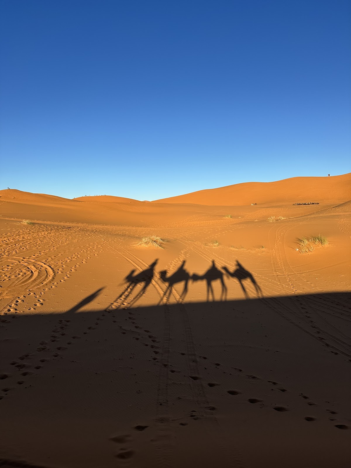 I Morocco tours — tour operator in Askejour Maatallah N 766, Morocco – photo 2