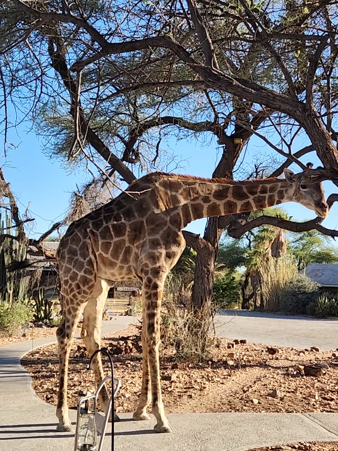 Annes Luxury Travel — tour operator in 14 General Murtala Muhammed Rd, Namibia – photo 2