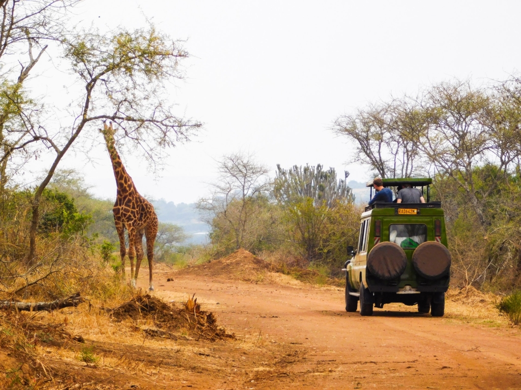 Joe Wanderlust — tour operator in KN 4 Ave, Rwanda – photo 5
