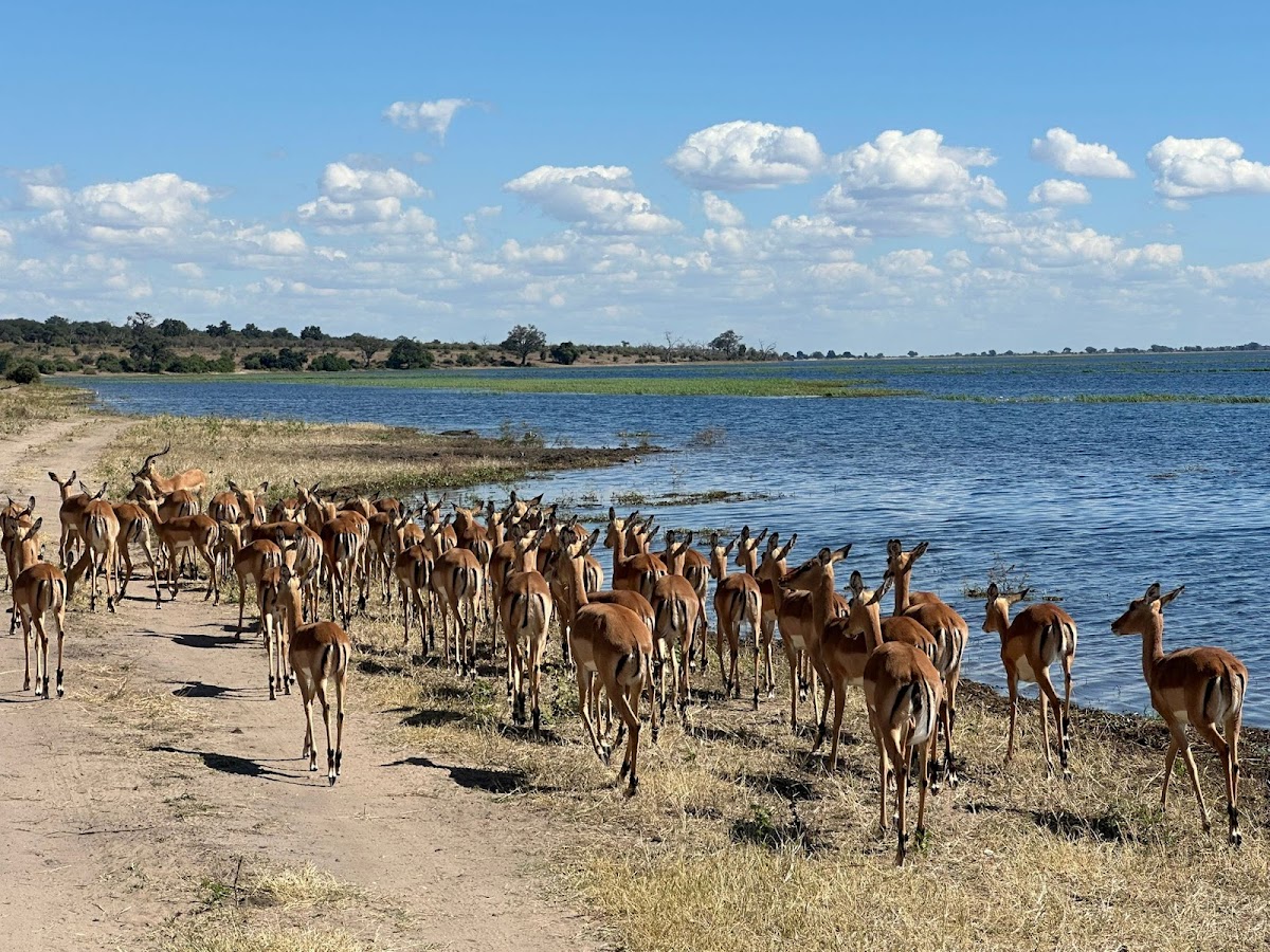Exec Africa Travel And Tours — tour operator in 6596 Mkhosana, Zimbabwe – photo 6