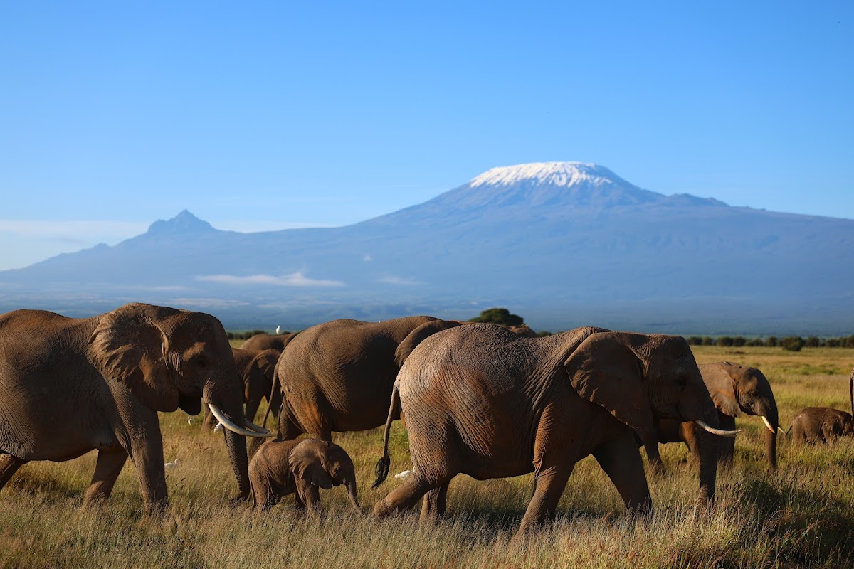 Extra Miles Unique Adventures — tour operator in Old Mombasa Rd, Kenya – photo 2