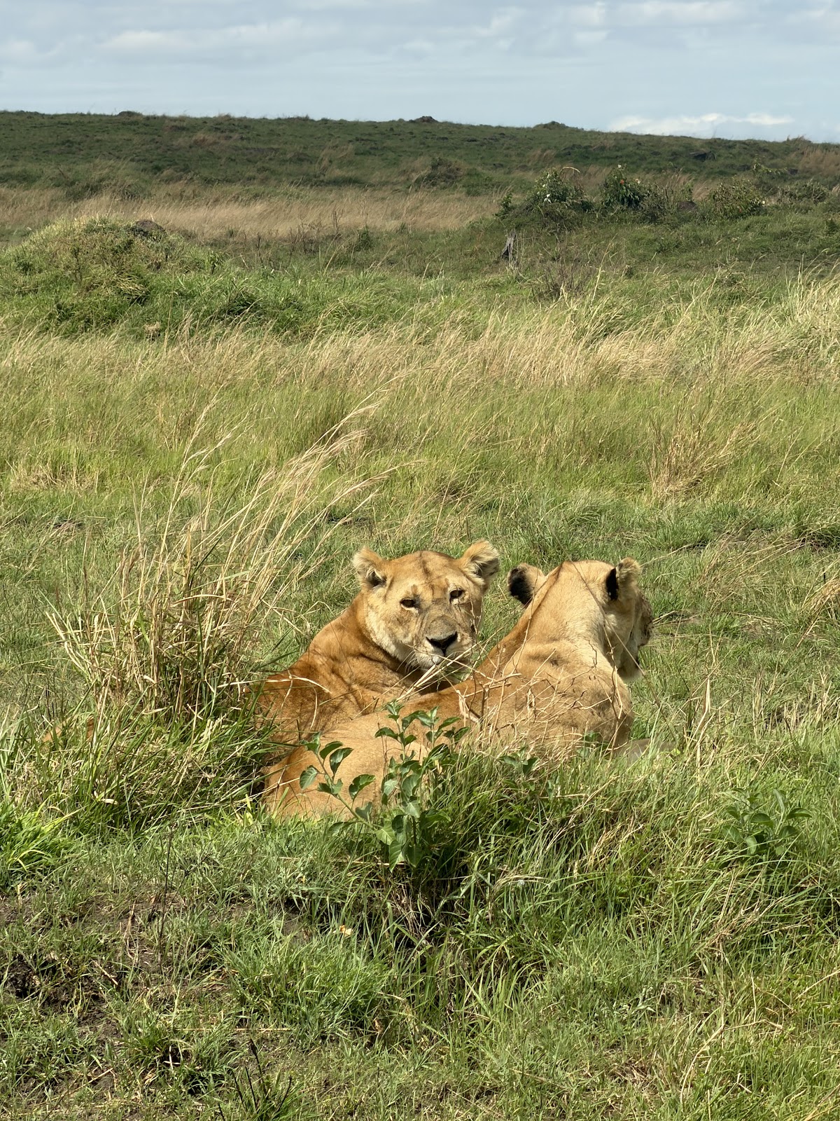 Extra Miles Unique Adventures — tour operator in Old Mombasa Rd, Kenya – photo 5