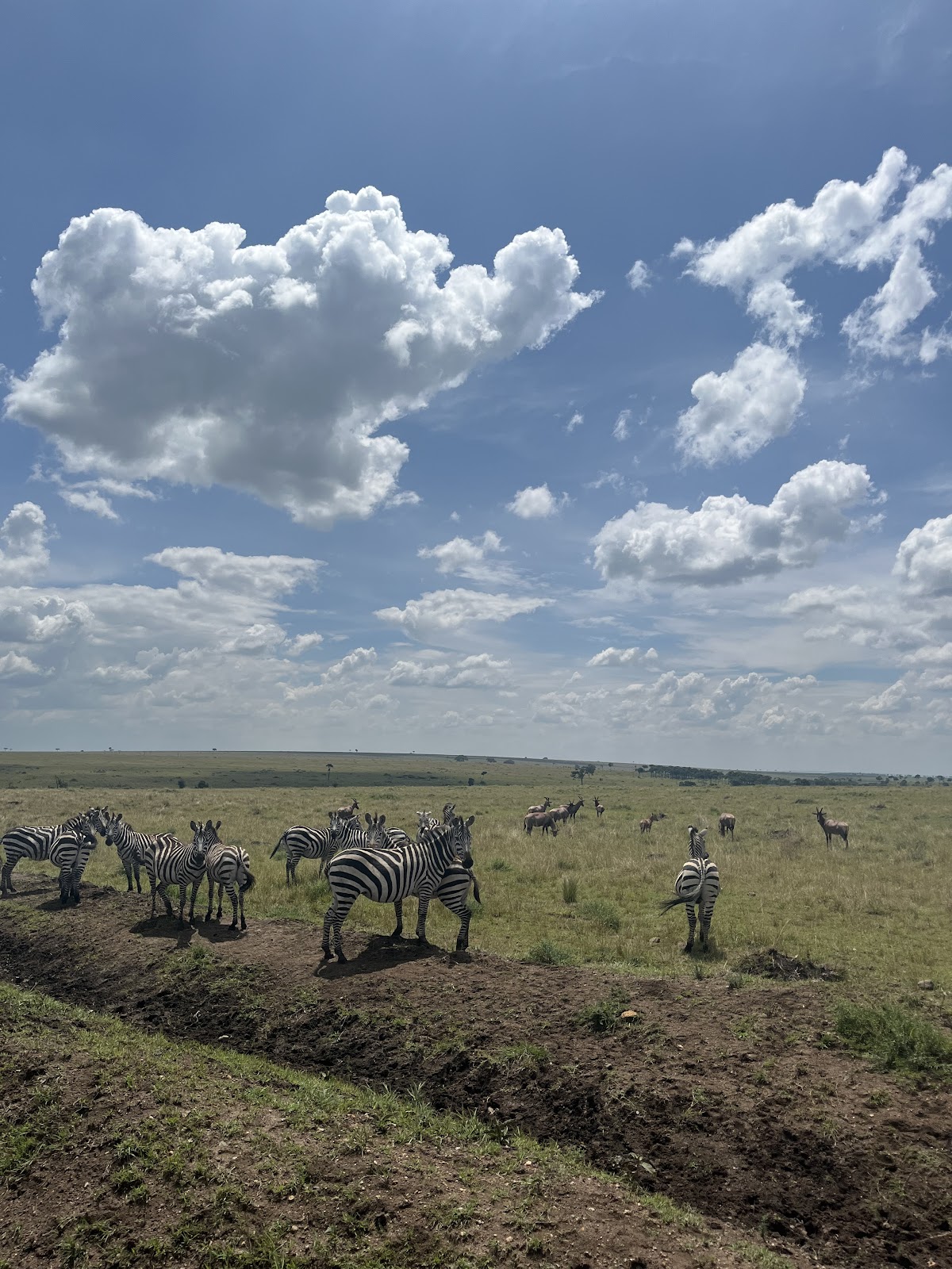 Extra Miles Unique Adventures — tour operator in Old Mombasa Rd, Kenya – photo 3