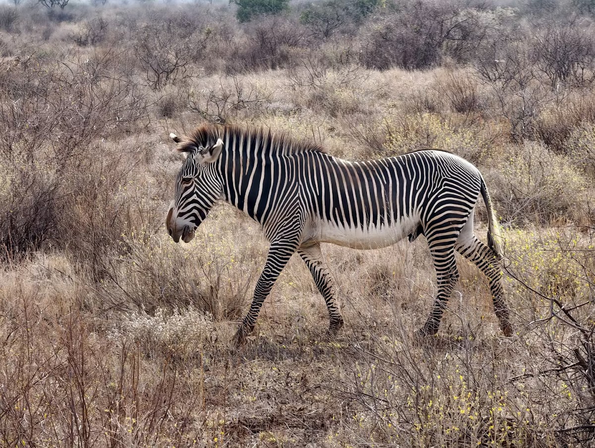 Extra Miles Unique Adventures — tour operator in Old Mombasa Rd, Kenya – photo 4