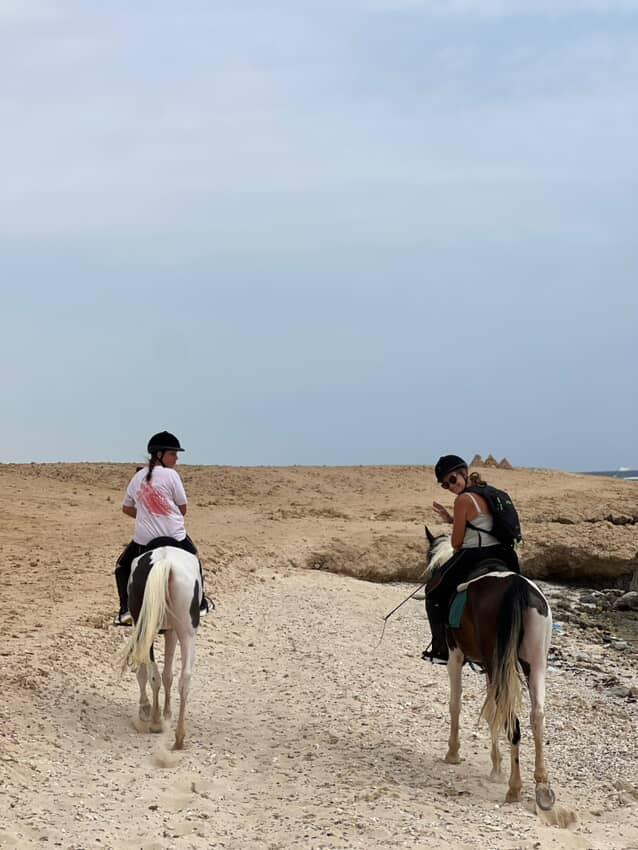 Remal Safari — tour operator in مرسي علم, Egypt – photo 3