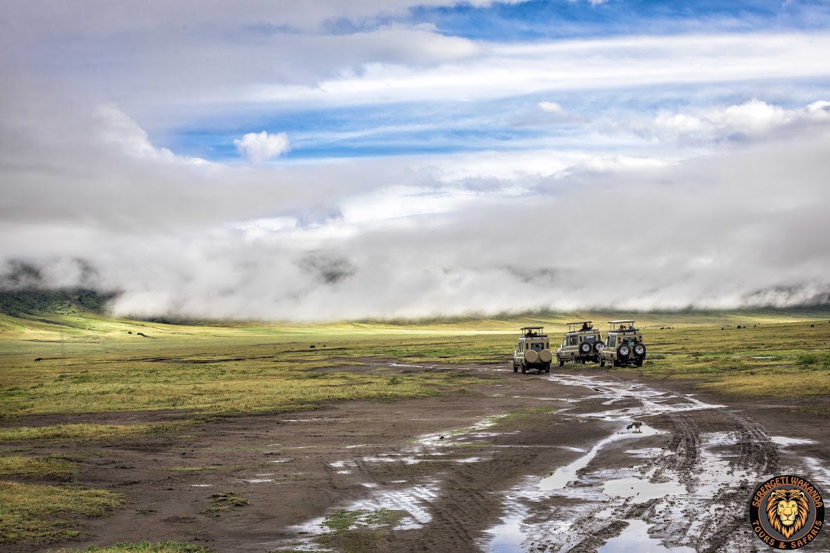 Serengeti Wakanda Tours and Safaris — tour operator in Njiro Rd, Tanzania – photo 1
