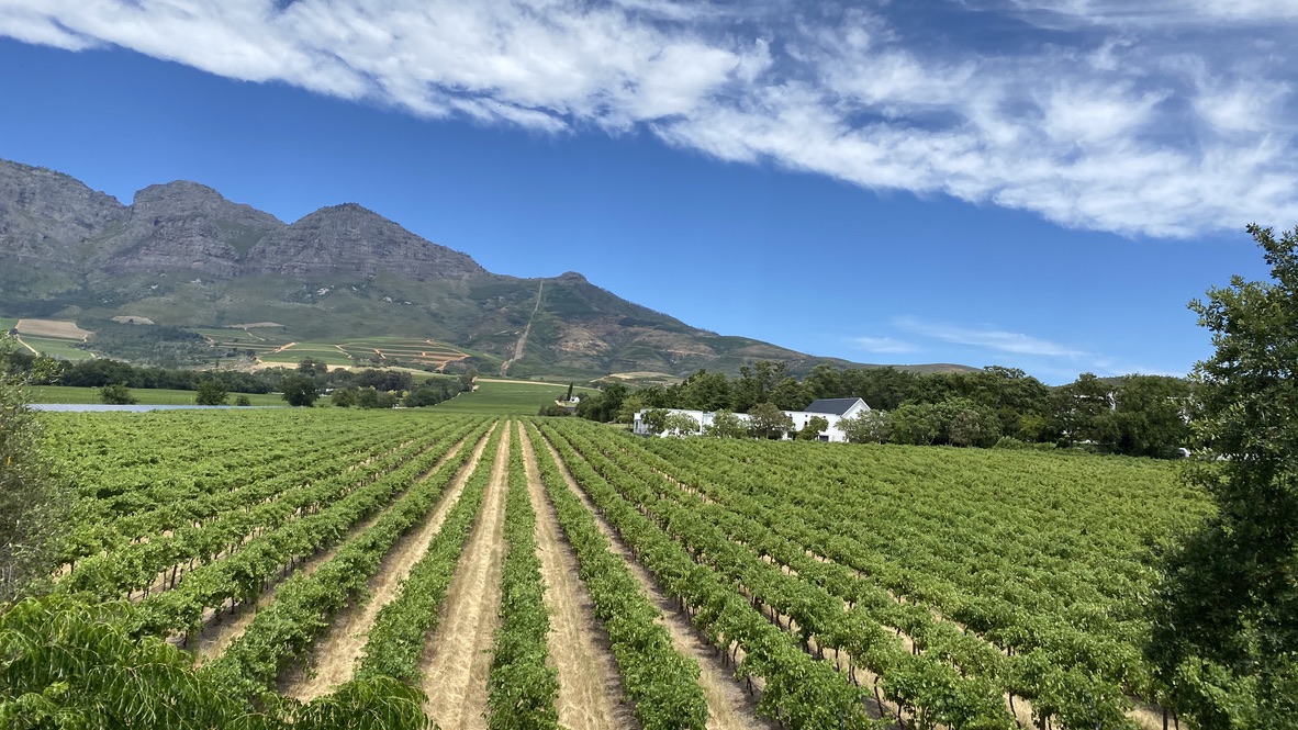 TravelGuide SouthAfrica PTY Ltd. — tour operator in Cape Town, South Africa – photo 6