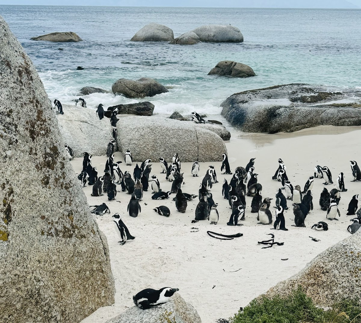 TravelGuide SouthAfrica PTY Ltd. — tour operator in Cape Town, South Africa – photo 2