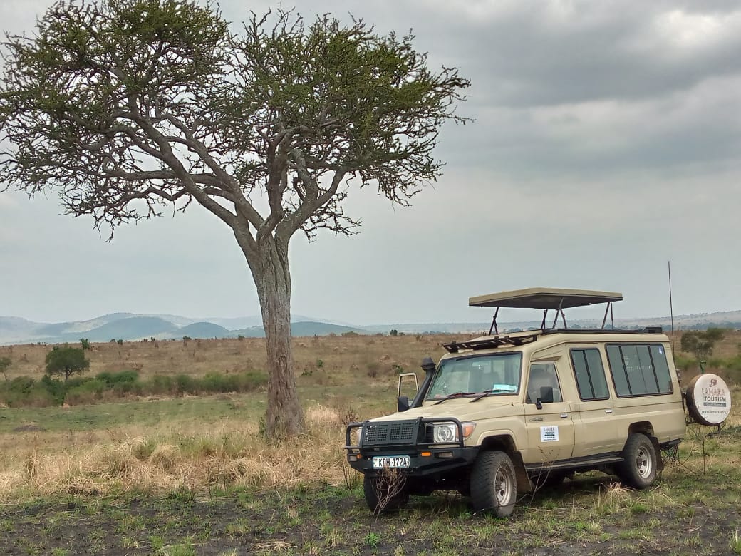 Lamara Tourism and Travel Agency Ltd — tour operator in West Wing, Kenya – photo 4