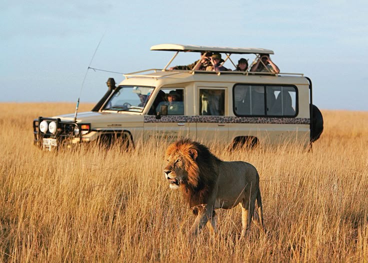 Kenya Incentives Tours and Safaris Limited (KITS) — tour operator in Room 401 Mama Ngina St, Kenya – photo 3