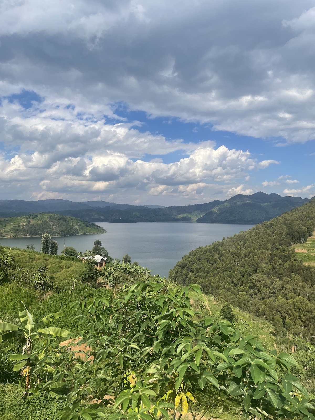 YAMBI Tours & Adventures — tour operator in KK 722 St, Rwanda – photo 3