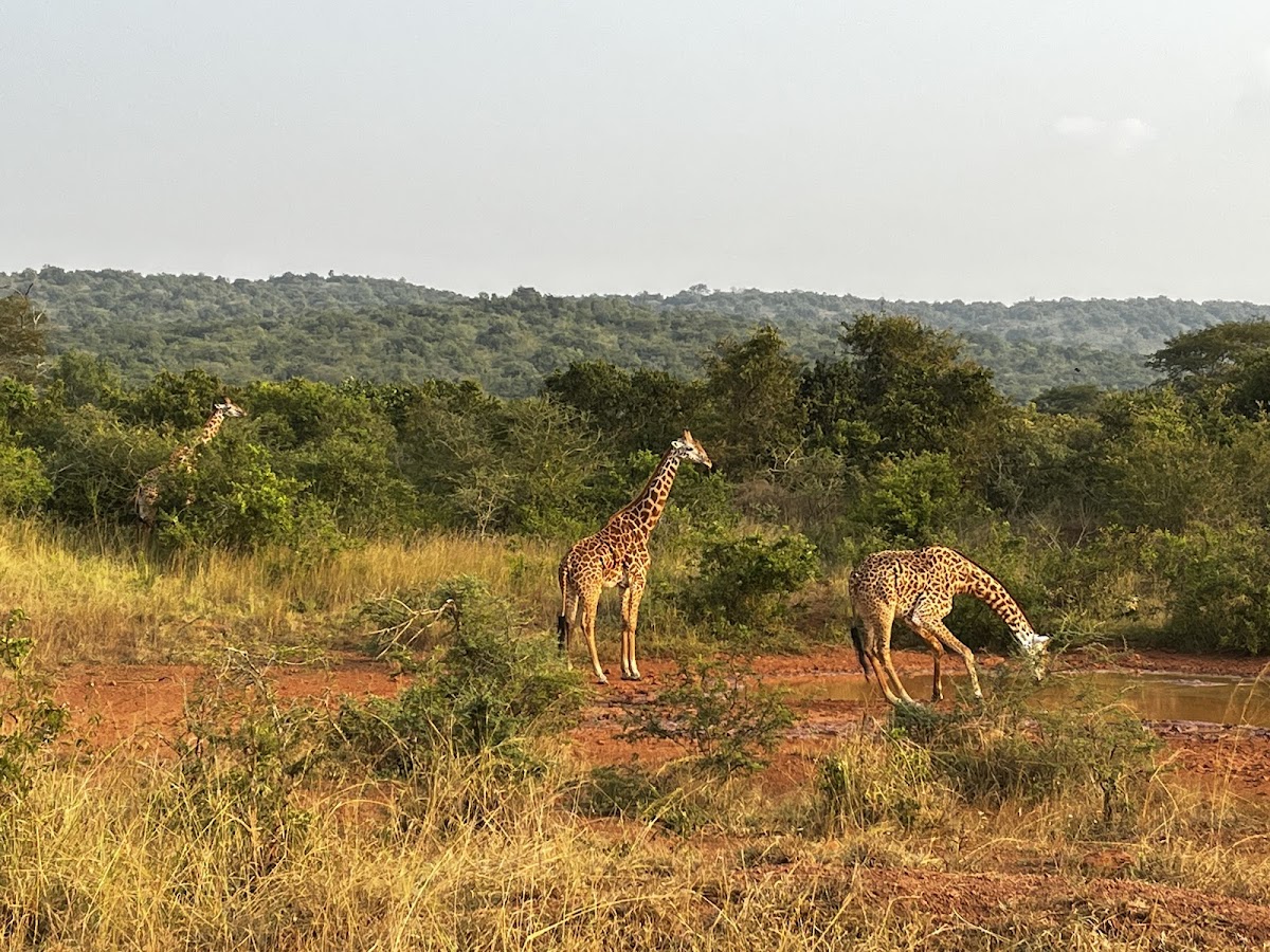 YAMBI Tours & Adventures — tour operator in KK 722 St, Rwanda – photo 2