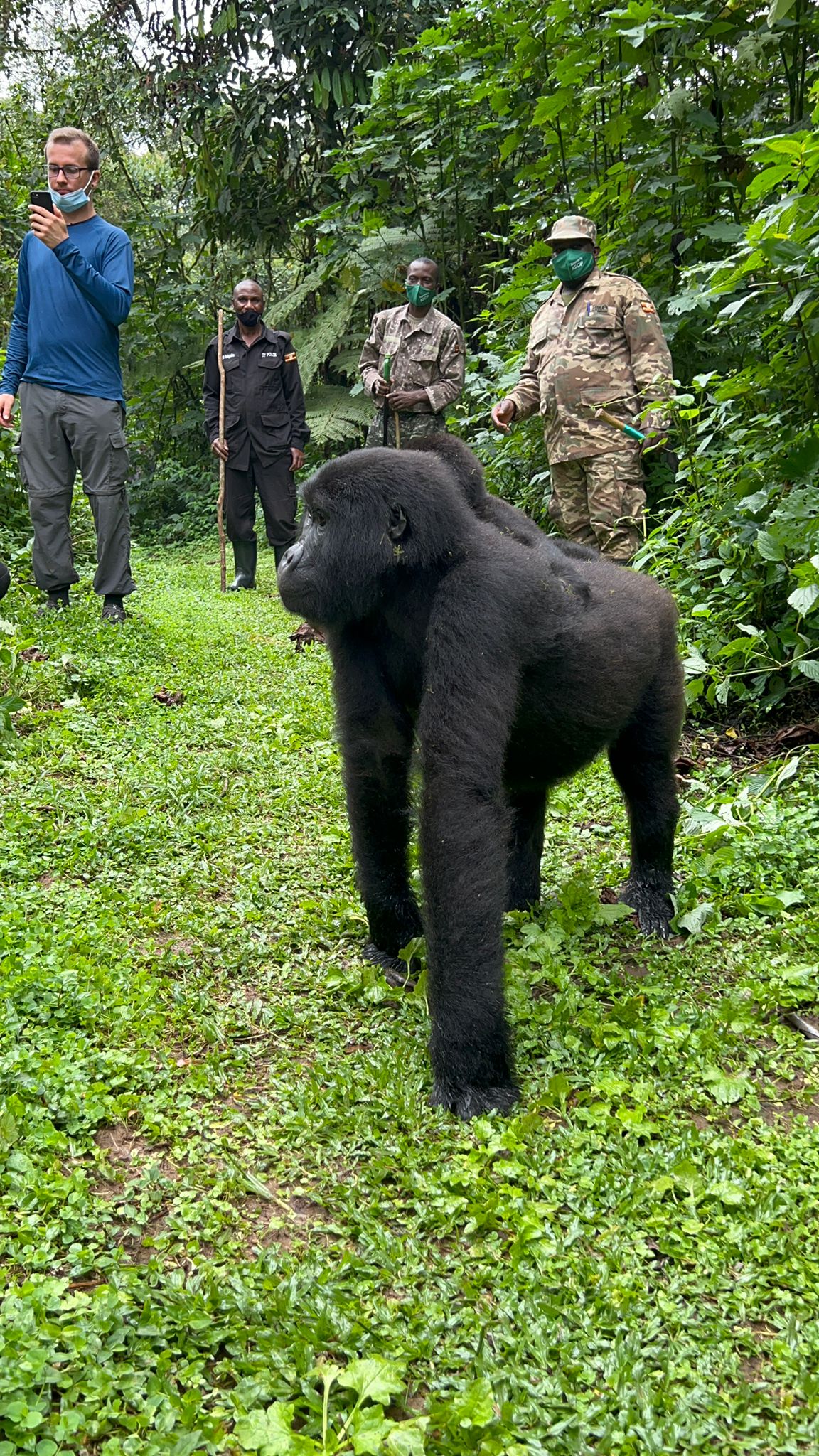 Gorilla Safaris Uganda (G S Uganda Travel) — tour operator in Bombo Rd, Uganda – photo 2