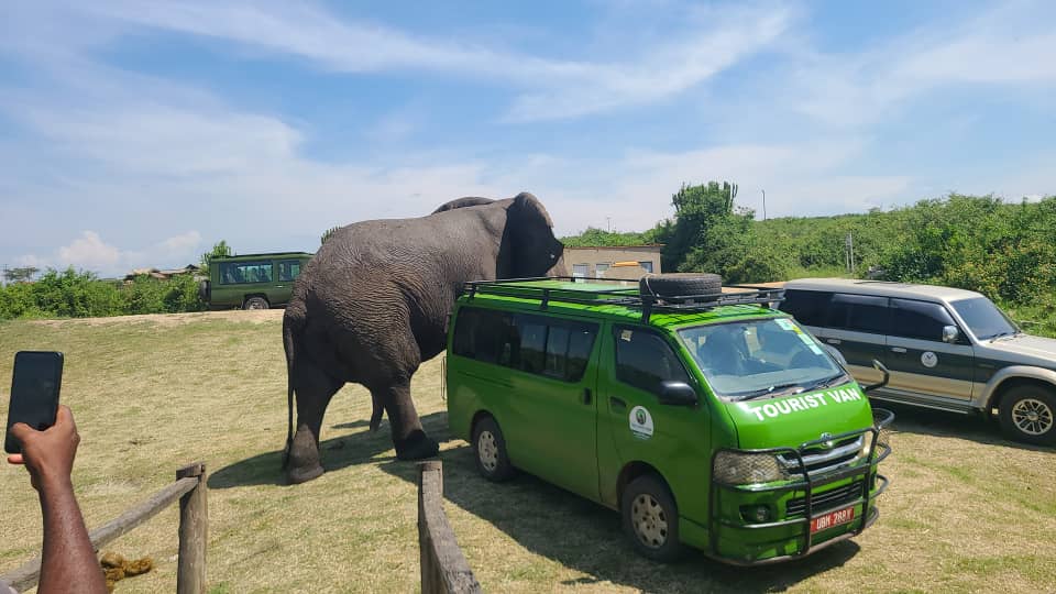 Gorilla Safaris Uganda (G S Uganda Travel) — tour operator in Bombo Rd, Uganda – photo 3