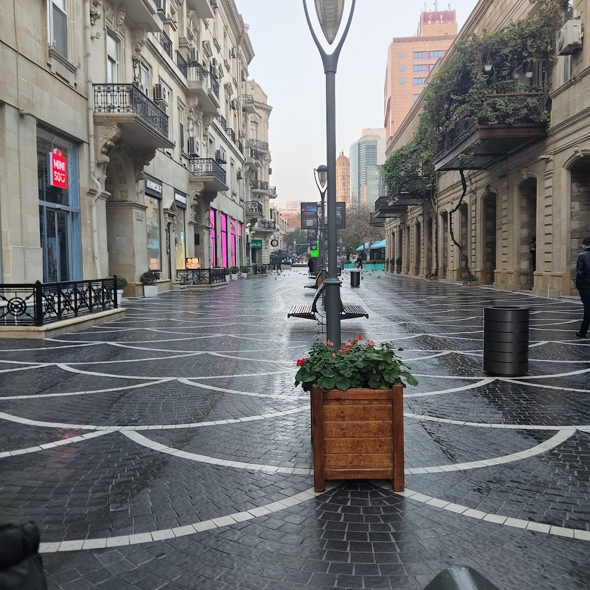 ALOHA TOURS — tour operator in Rue Zighem Mohamed, Algeria – photo 2