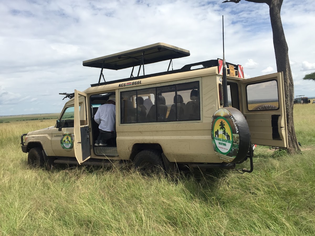 Paradise Adventure Vacations – Gorilla Trekking & Safari Experts: Uganda & East Africa Safaris | Luxury Safari & Wildlife — tour operator in Plot 140B Mobutu Road, Uganda – photo 3