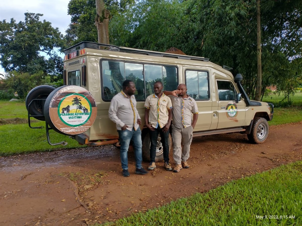 Paradise Adventure Vacations – Gorilla Trekking & Safari Experts: Uganda & East Africa Safaris | Luxury Safari & Wildlife — tour operator in Plot 140B Mobutu Road, Uganda – photo 4