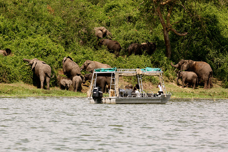 Around Africa Safaris - East Africa Safari Tour Experts — tour operator in off Nyanama Road, Uganda – photo 3