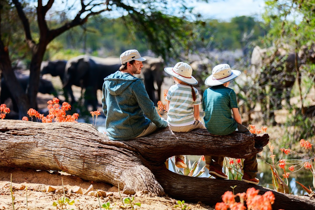 Around Africa Safaris - East Africa Safari Tour Experts — tour operator in off Nyanama Road, Uganda – photo 4