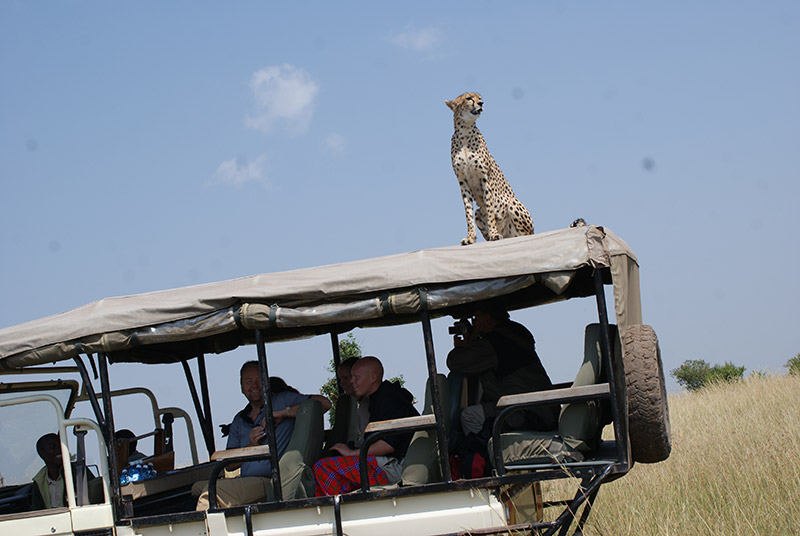 Around Africa Safaris - East Africa Safari Tour Experts — tour operator in off Nyanama Road, Uganda – photo 6