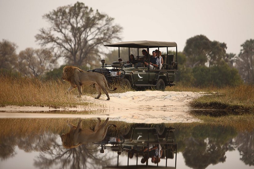 Safari.com — tour operator in Cape Town, South Africa – photo 4