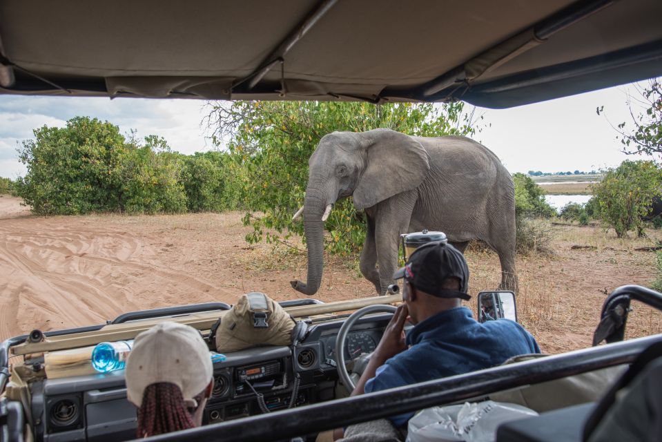 Victoria Falls Serious Fun Tours and Travel — tour operator in Inside Mukuru Premises, Zimbabwe – photo 6