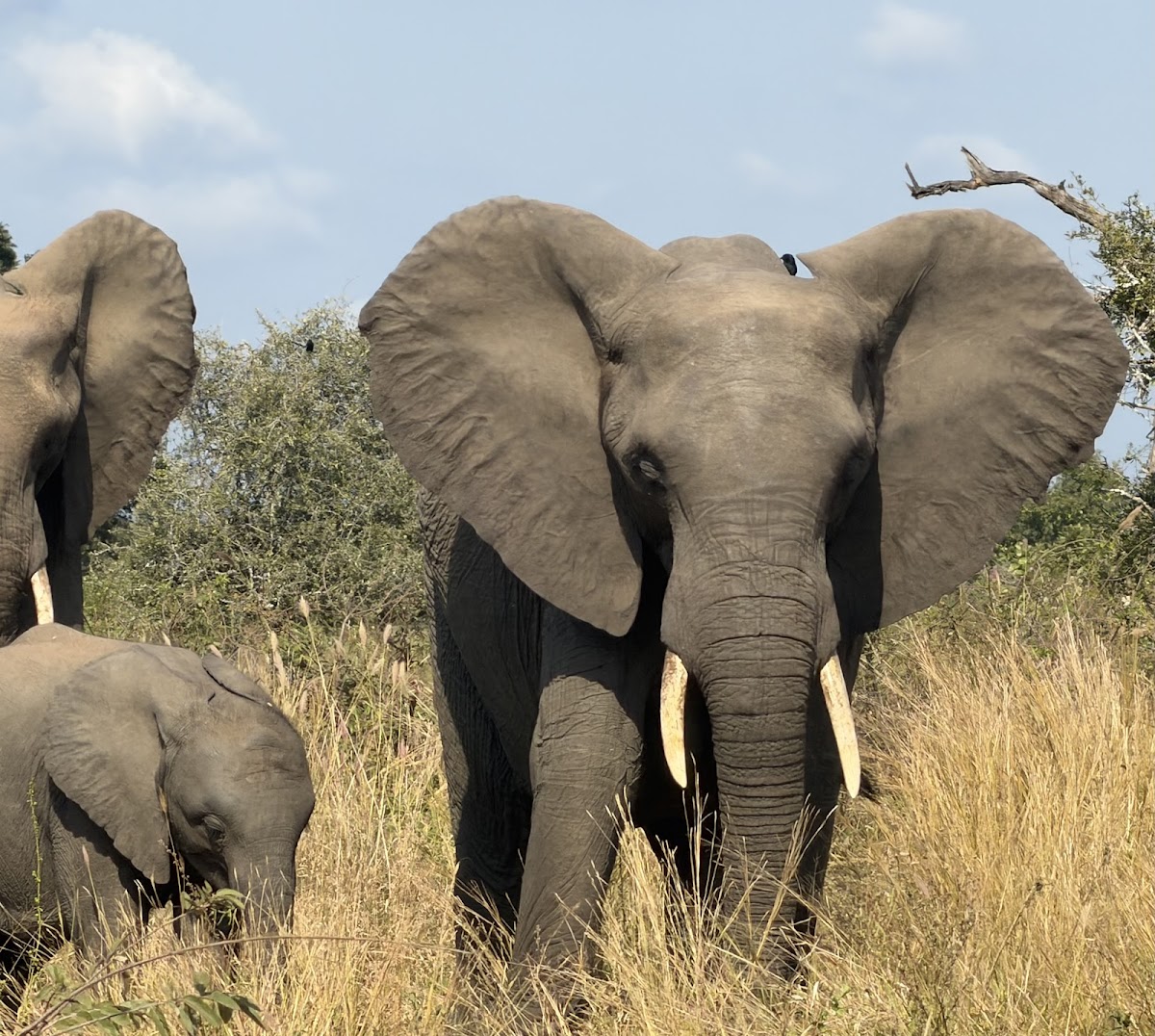 African Overland Tours — tour operator in Cape Town, South Africa – photo 5