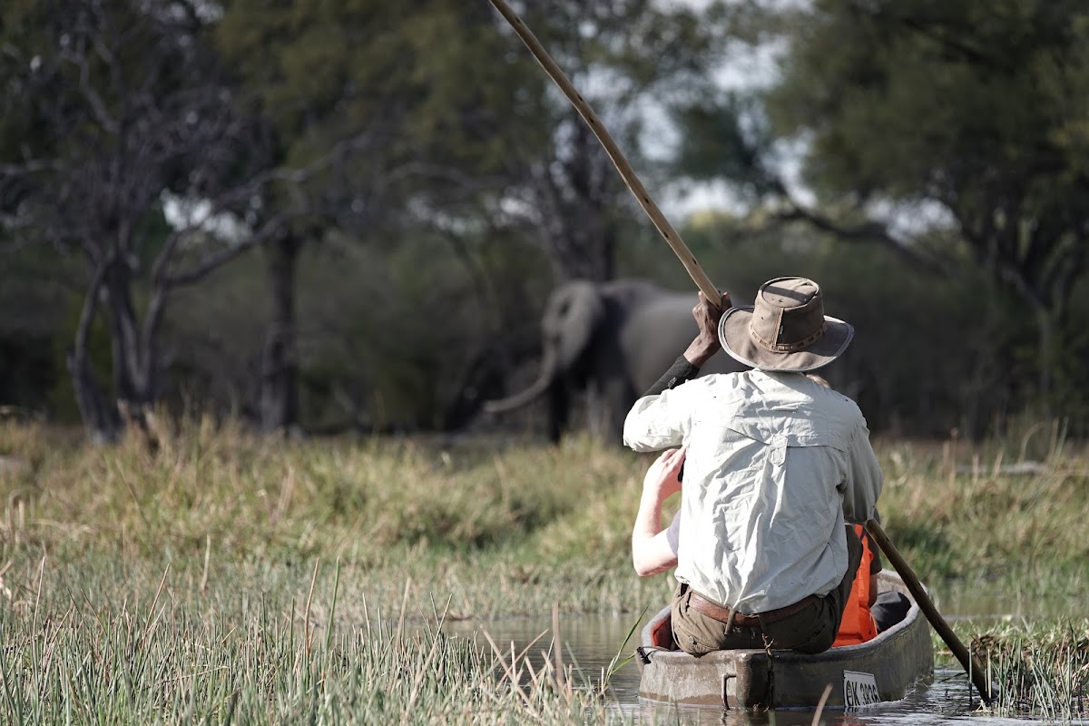 African Overland Tours — tour operator in Cape Town, South Africa – photo 4