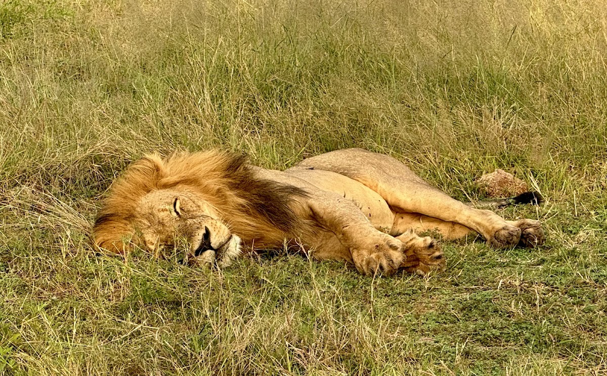 African Overland Tours — tour operator in Cape Town, South Africa – photo 6