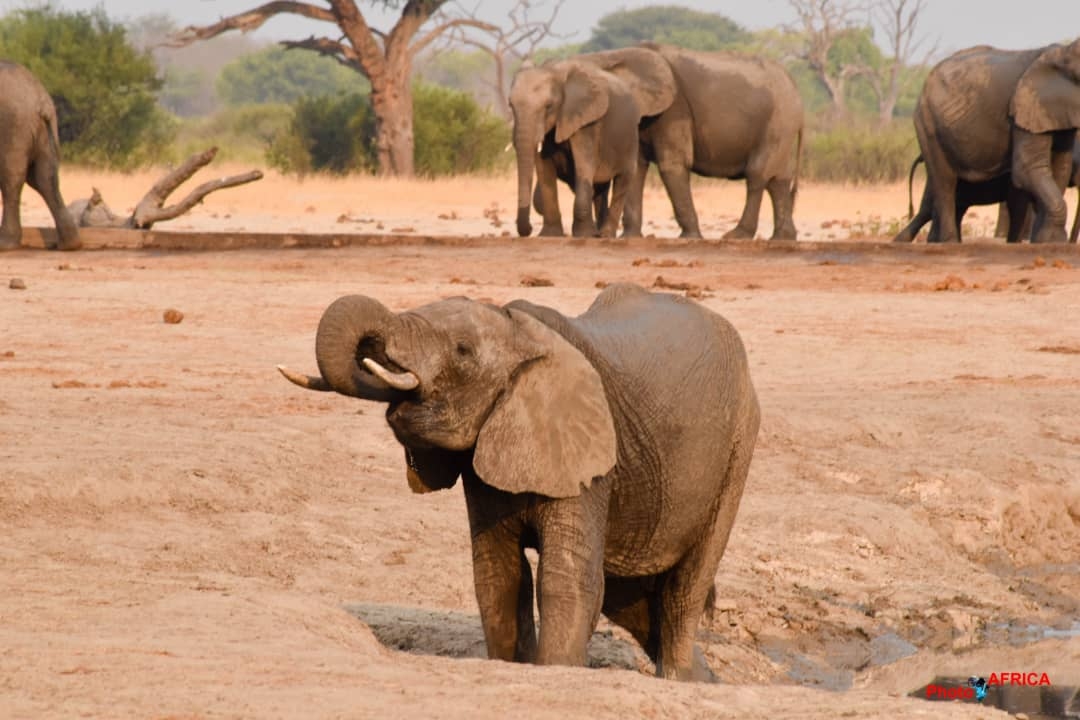 Wamada Tours — tour operator in Mzari Road, Zimbabwe – photo 3