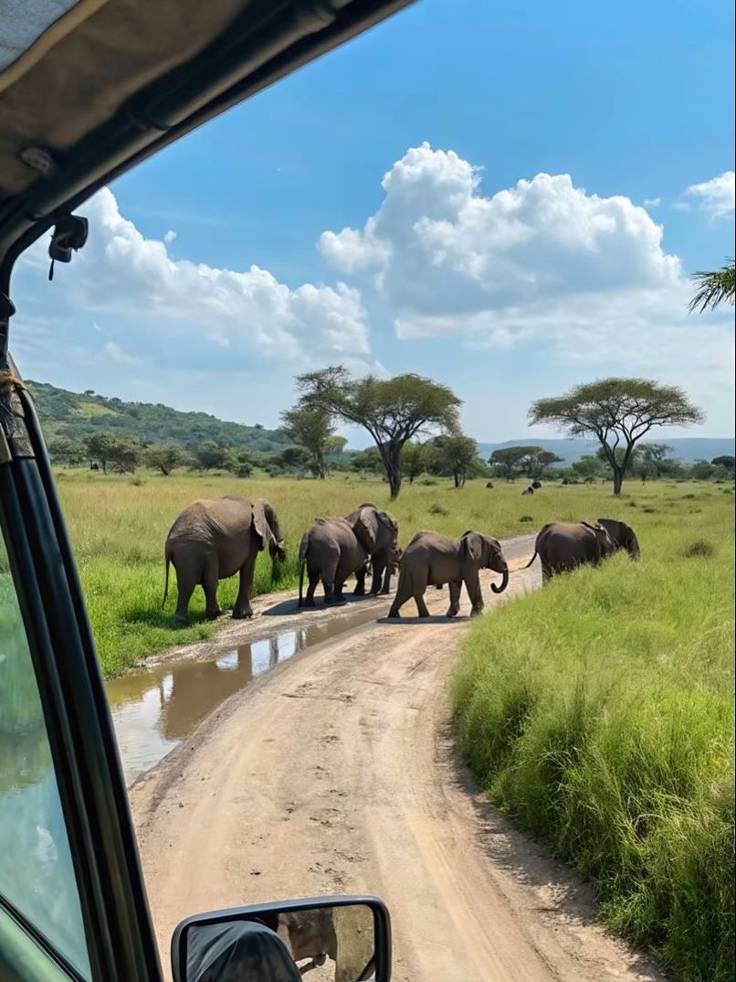 Full Package Adventures - Best Safari Company in Tanzania — tour operator in 14748 Pangani St, Tanzania – photo 3