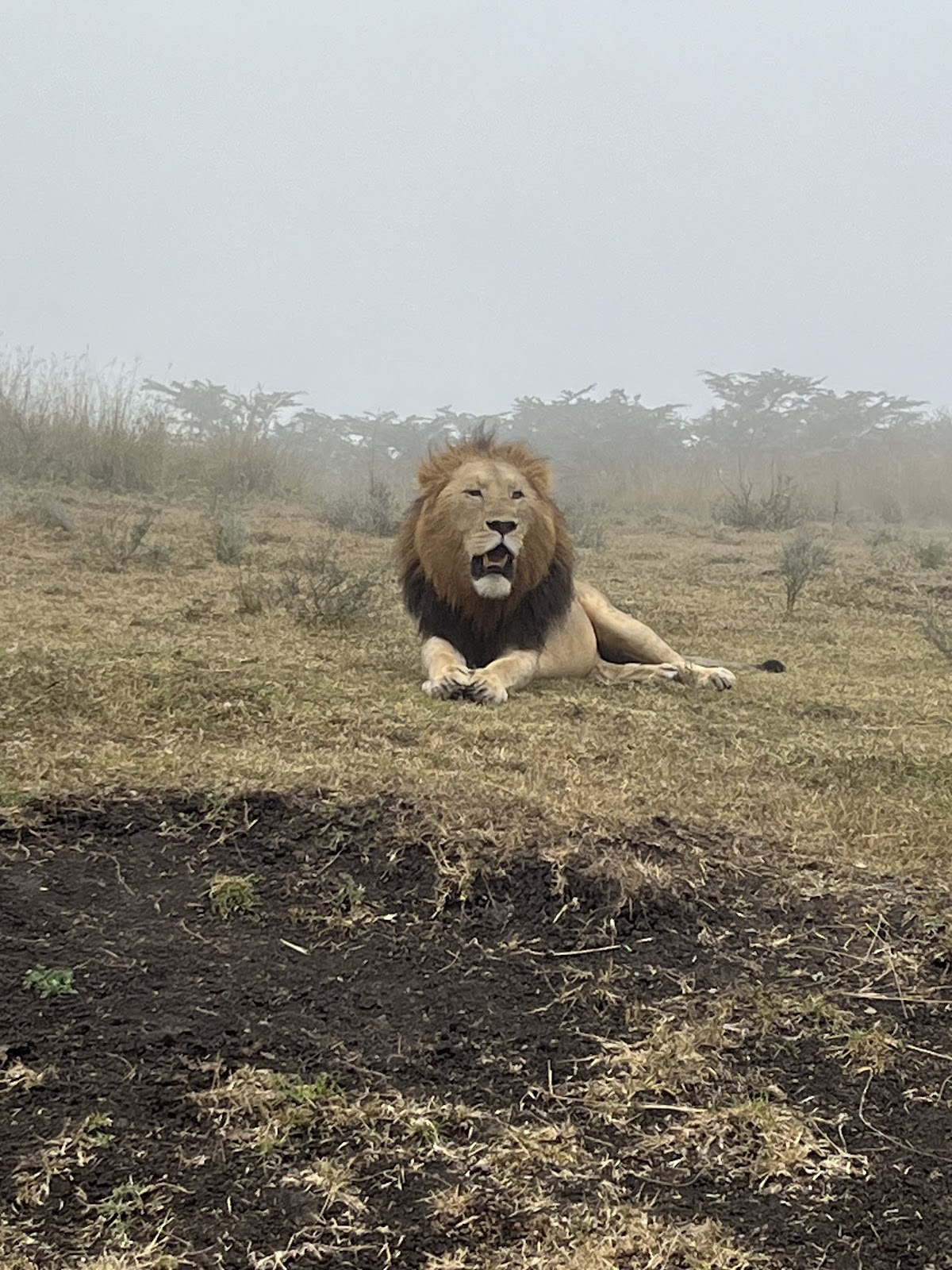 Full Package Adventures - Best Safari Company in Tanzania — tour operator in 14748 Pangani St, Tanzania – photo 5
