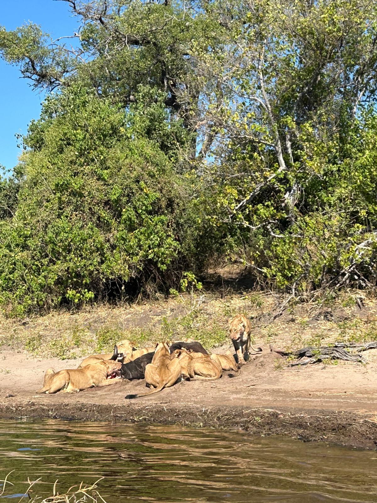 Rutsoka Travels — tour operator in 12 Stuart Ave, Zimbabwe – photo 3