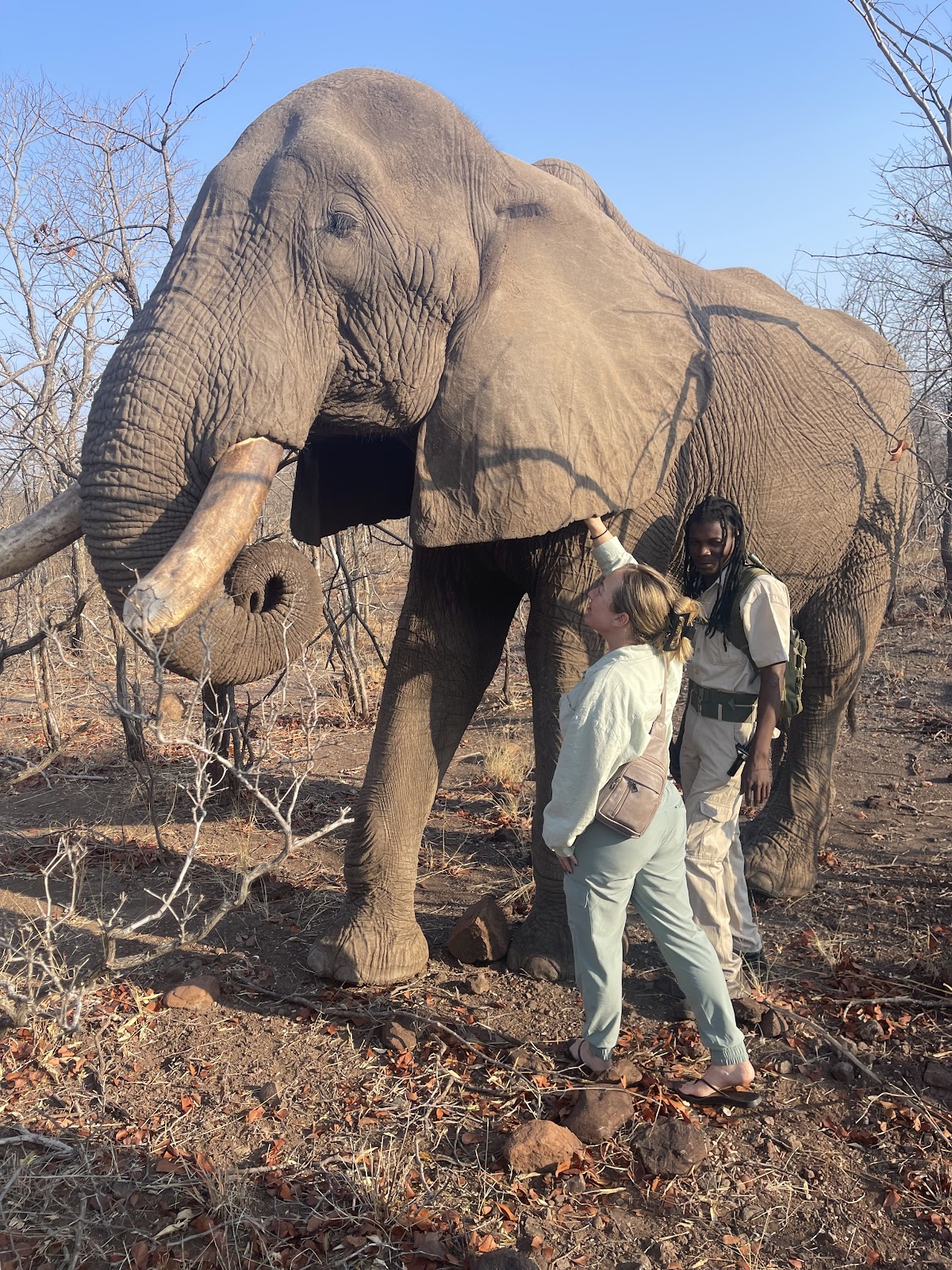Jewel of Africa Safaris - Luxurious Safaris Africa — tour operator in Pretoria, South Africa – photo 3